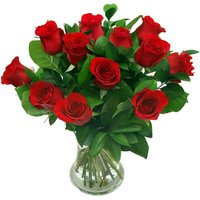 True Romance 12 Red Roses
