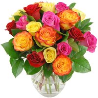 Rainbow Roses