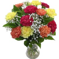 Mixed Carnations