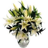 Simply Lilies