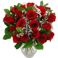Promise 24 Red Roses