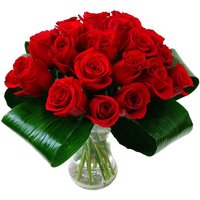 Love 20 Red Roses