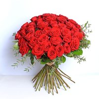 Luxury 50 Red Roses
