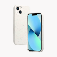 Apple iPhone 11 Biodegradable Case - Wheat Straw