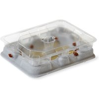 Bed Bug Traps and Monitoring Catchers Pack of 4