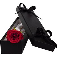 Single Luxury Red (Naomi) Rose