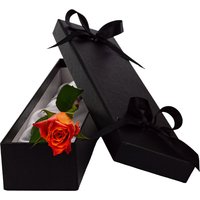Single Luxury Orange Rose