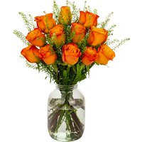 12 Orange Roses