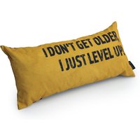 Gaming Cushion - I Don't Get Older, I Just Level Up!