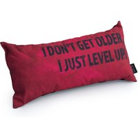 Gaming Cushion - I Don't Get Older, I Just Level Up!