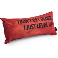 Gaming Cushion - I Don't Get Older, I Just Level Up!