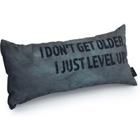 Gaming Cushion - I Don't Get Older, I Just Level Up!