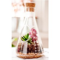CHEMISTRY TERRARIUM KIT