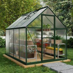 6' x 8' Palram Canopia Mythos Walk In Green Polycarbonate Greenhouse (1.85m x 2.47m) by Buy Sheds Direct