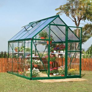 6' x 6' Palram Canopia Hybrid Green Polycarbonate Greenhouse (1.85m x 1.86m) by Buy Sheds Direct