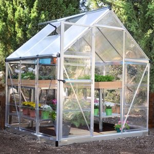 6' x 6' Palram Canopia Hybrid Silver Polycarbonate Greenhouse (1.85m x 1.86m) by Buy Sheds Direct