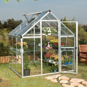 6â x 6â Palram Canopia Harmony Silver Polycarbonate Greenhouse (1.85m x 1.86m) by Buy Sheds Direct