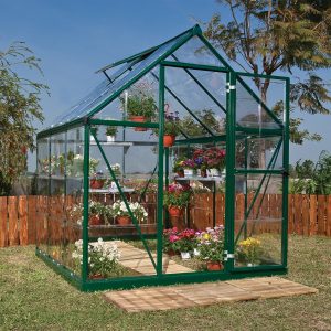 6â x 6â Palram Canopia Harmony Green Polycarbonate Greenhouse (1.85m x 1.86m) by Buy Sheds Direct