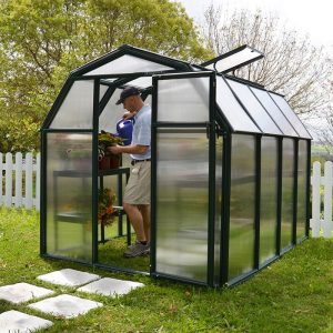 6'x8' Palram Canopia Rion EcoGrow Green Greenhouse with Resin Frame (2.04m x 2.63m) by Buy Sheds Direct