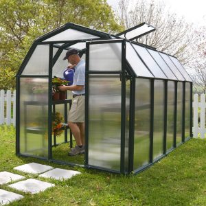 6'x10' Palram Canopia Rion EcoGrow Walk In Green Polycarbonate Greenhouse (1.8x3m) by Buy Sheds Direct