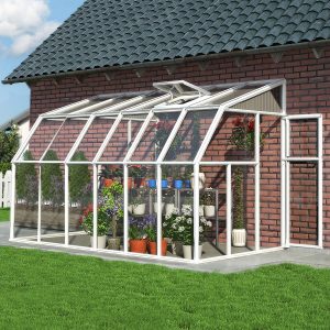 6'x12' Palram Canopia Rion White Sun Room Walk In Wall Greenhouse (1.8x3.6m) by Buy Sheds Direct