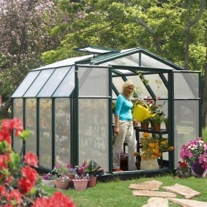 8'x8' Palram Canopia Rion Hobby Gardener Walk In Green Greenhouse (2.4x2.4m) by Buy Sheds Direct
