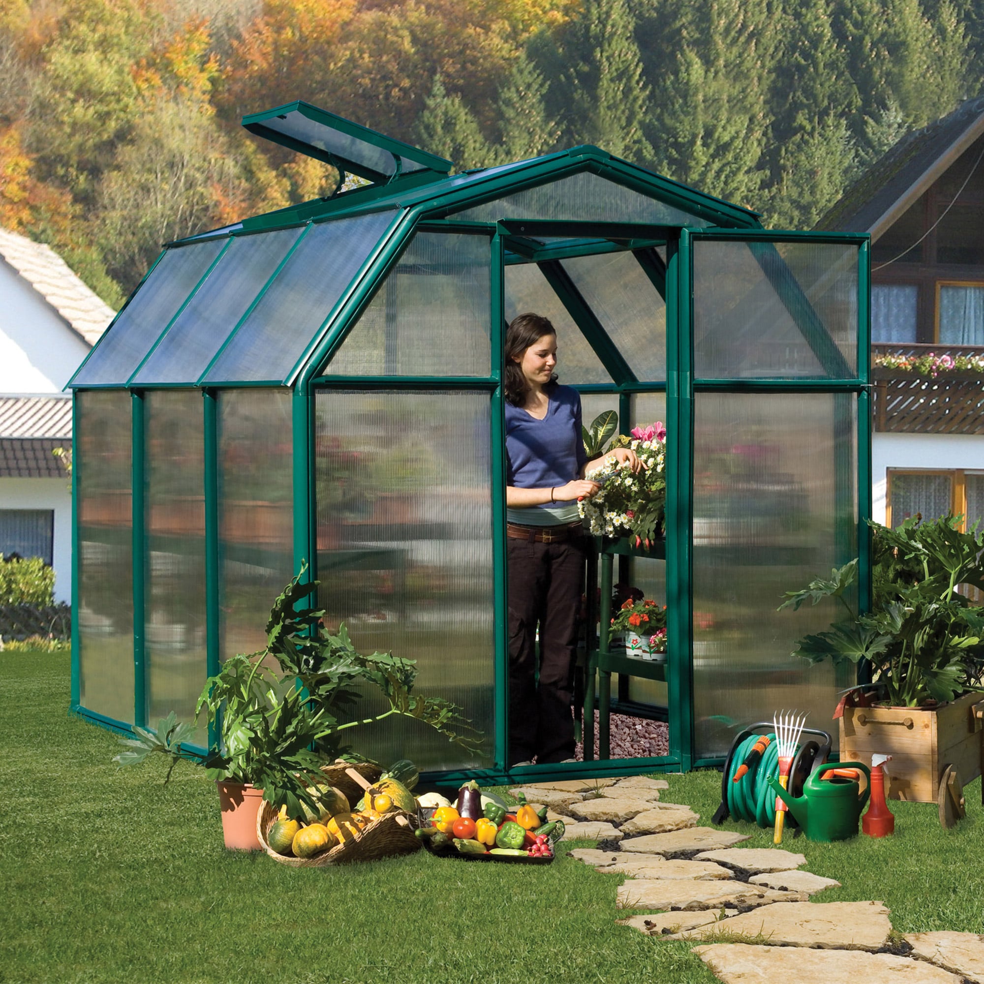 6'x6' Palram Canopia Rion EcoGrow Small Green Polycarbonate Greenhouse (1.8x1.8m) by Buy Sheds Direct