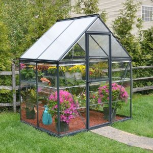 6' x 4' Palram Canopia Hybrid Grey Polycarbonate Greenhouse (1.85m x 1.26m) by Buy Sheds Direct