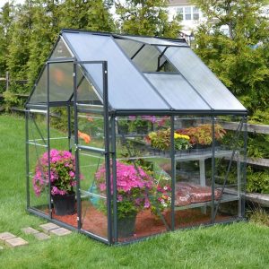 6' x 6' Palram Canopia Hybrid Grey Polycarbonate Greenhouse (1.85m x 1.86m) by Buy Sheds Direct