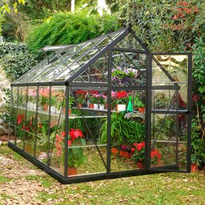 6â x 10â Palram Canopia Harmony Walk In Grey Polycarbonate Greenhouse (1.85m x 3.06m) by Buy Sheds Direct