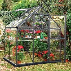 6â x 4â Palram Canopia Harmony Grey Polycarbonate Greenhouse (1.85m x 1.26m) by Buy Sheds Direct