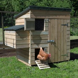 5'4 x 3'8 Forest Hedgerow Wooden Large Hen House (1.63m x 1.12m) by Buy Sheds Direct