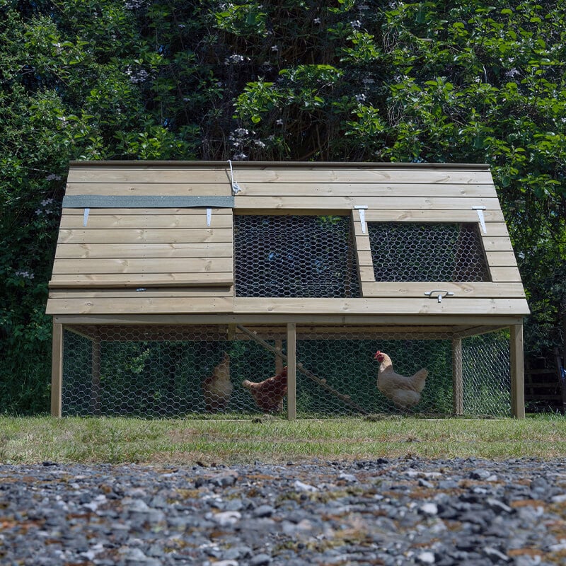 8'6 x 4'8 Forest Hedgerow Wooden Raised Large Chicken Coop (2.58m x 1.41m) by Buy Sheds Direct