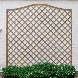 Forest 6' x 6' Pressure Treated Europa Hamburg Decorative Garden Screen Panel (1.8m x 1.8m) by Buy Sheds Direct