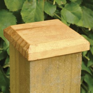 Forest Fence Post Cap 10 x 10cm by Buy Sheds Direct