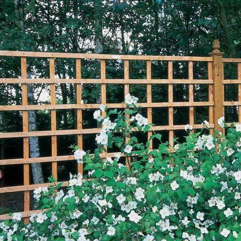 Forest 6' x 1' Heavy Duty Square Garden Trellis Fence Panel (1.83m x 0.3m) by Buy Sheds Direct