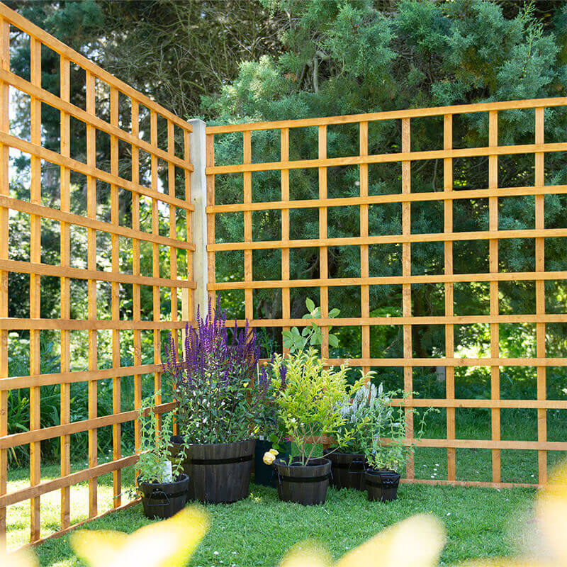 Forest 6' x 6' Heavy Duty Square Garden Trellis Fence Panel (1.83m x 1.83m) by Buy Sheds Direct