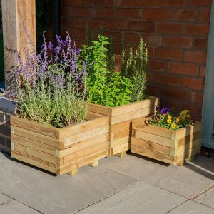 Forest Kendal Square Wooden Garden Planter 1'8x1'8 (0.5x0.5m) - Set of 3 by Buy Sheds Direct