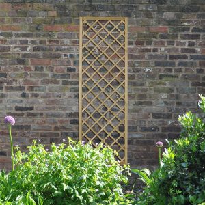 Forest 6' x 2' Hidcote Decorative Diamond Wooden Lattice Trellis (1.8m x 0.6m) by Buy Sheds Direct