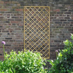 Forest 6' x 3' Hidcote Decorative Diamond Wooden Lattice Trellis (1.8m x 0.9m) by Buy Sheds Direct