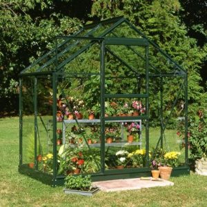 6'4 x 4'4 Green Frame Halls Popular 64 Small Greenhouse (1.93 x 1.31m) by Buy Sheds Direct