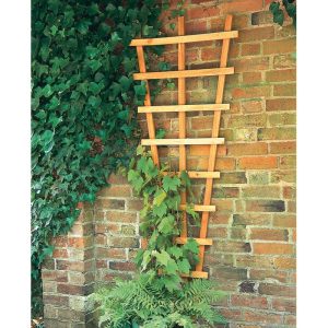 Forest 2' x 6' Heavy Duty High Decorative Fan Wall Trellis (0.66m x 1.83m) by Buy Sheds Direct