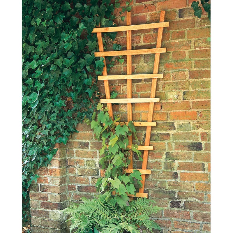 Forest 2' x 6' Heavy Duty High Decorative Fan Wall Trellis (0.66m x 1.83m) by Buy Sheds Direct