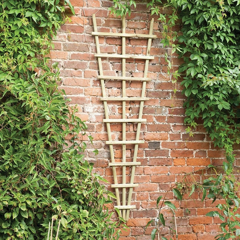 6' x 2' Forest Traditional Pressure Treated Fan Trellis (1.8m x 0.6m) by Buy Sheds Direct