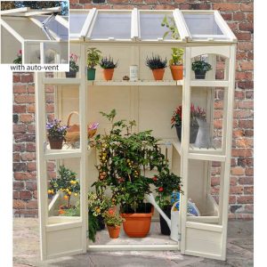 5' x 2' Forest Victorian Tall Wall Greenhouse with Auto Vent (1.47m x 0.72m) by Buy Sheds Direct